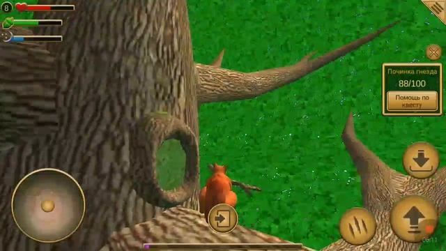 Симулятор белки смотреть онлайн