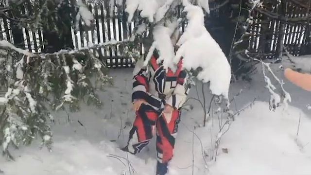 Зимняя сказка про Веронику| Как Вероника и ее питомец хорек Броня ищут зверей| Видео для детей смотреть онлайн