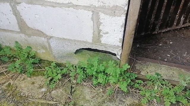 #Обзор дома #Минская область Слуцкий район деревня Нежавка ?? смотреть онлайн