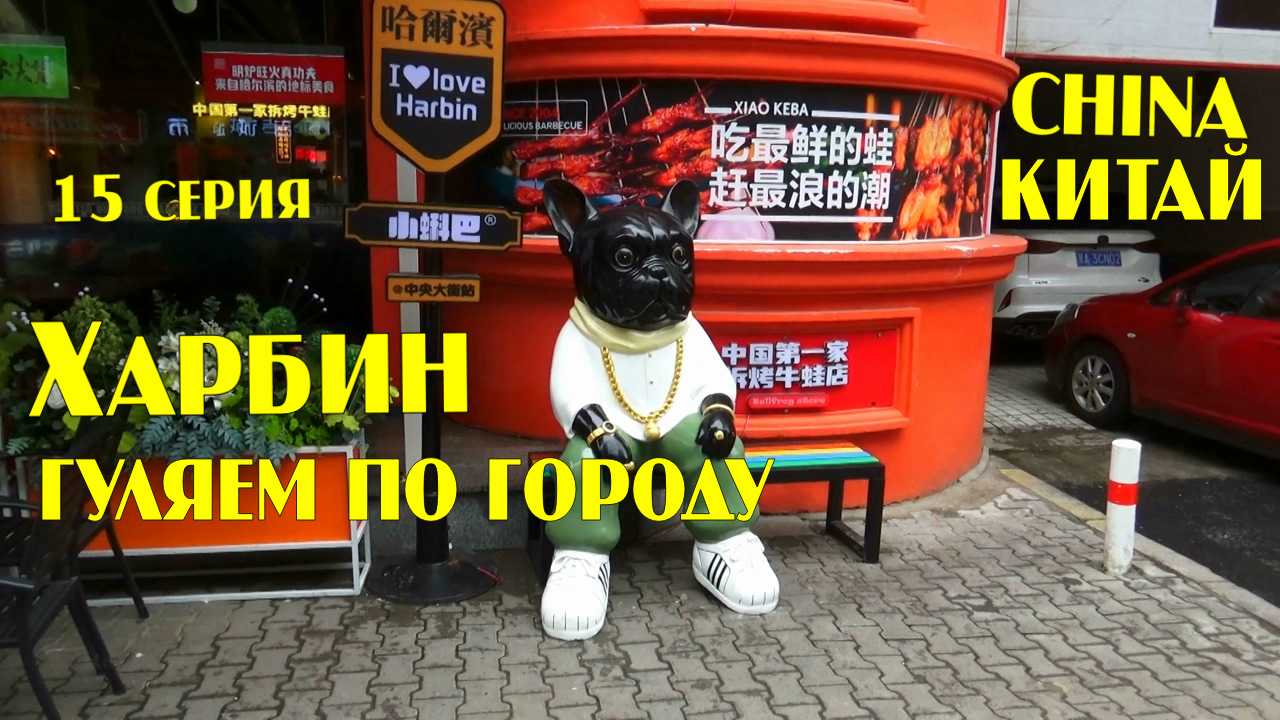 Харбин. Китай . Гуляем по улицам Харбина и заходим в магазины - 15 серия. смотреть онлайн