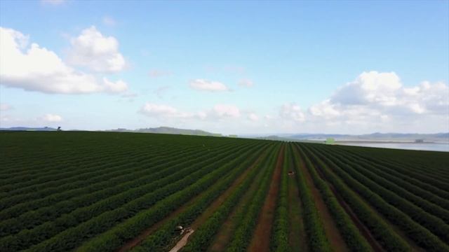 Как Сделать Своими Руками