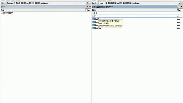 5. Сервис DISA