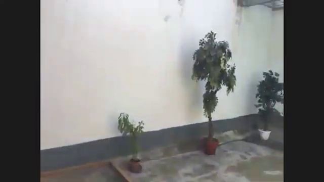 Прокурор республики провел плановую проверку в следственном изоляторе № 1 смотреть онлайн