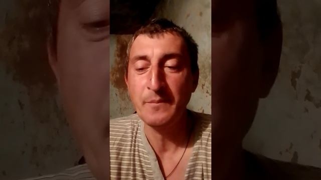 стих я люблю тебя солнышко смотреть онлайн