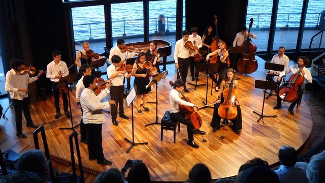 Allegro Appassionato, Saint Saens смотреть онлайн
