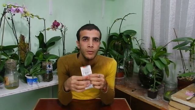 Յանտառնայա կիսլոտա смотреть онлайн