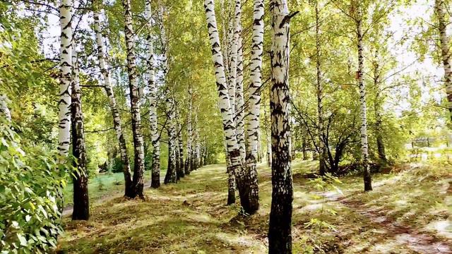 Музыка которая поможет. Счастья всем людям на земле смотреть онлайн