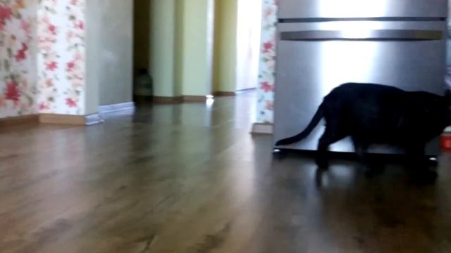 Жуткие зверомонстры несутся на запах крови  ;)))))