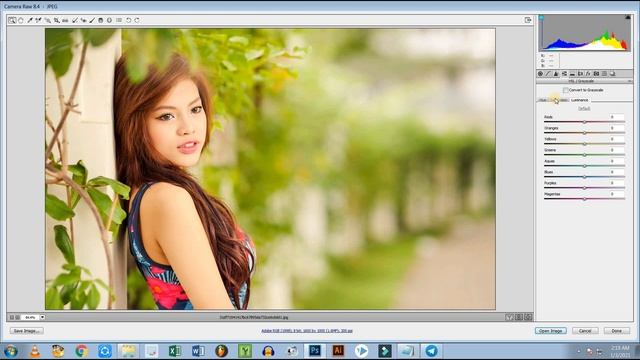 class 12 camera RAW best setting photoshop cc 2021 graphic design complete course смотреть онлайн
