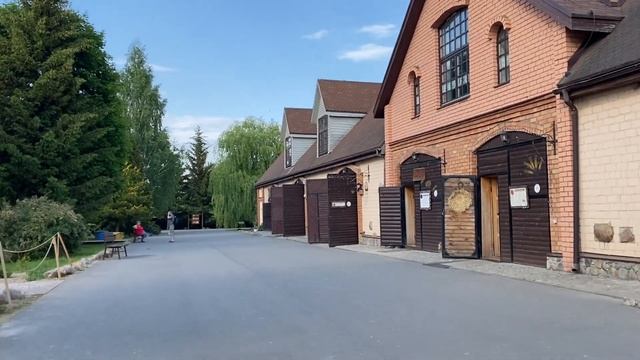 Продолжаем гулять по Дудуткам. Кот учёный. Хлебопекарня и кузница. Встретили павлинов! смотреть онлайн