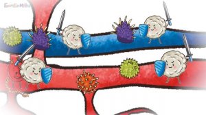 Как устроен человек. Как работает мое сердце?