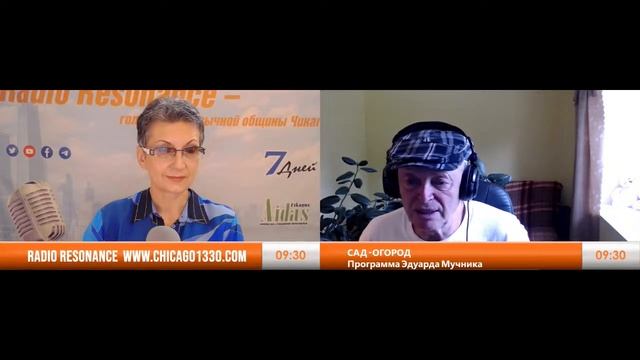 Дача в Америке. Как сберечь ягоды; можно ли есть листья цветной капусты; растения от бессонницы смотреть онлайн