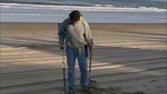 Metal Detector Guy Song