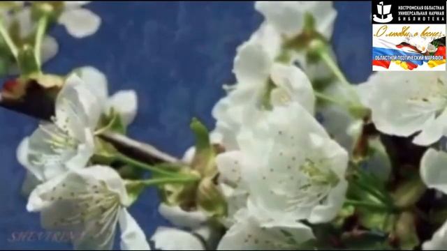«Willkommen und Abschied» (J W von Goethe)..mp4 смотреть онлайн