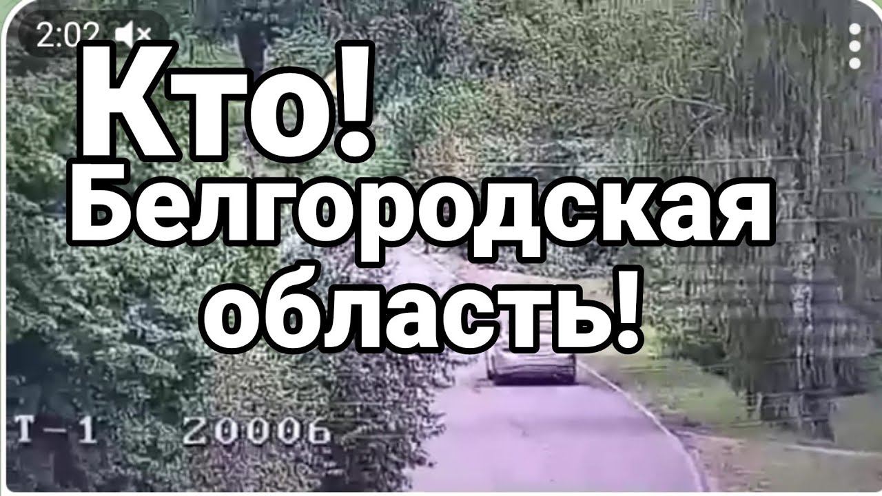 КТ0! Белгородская область!