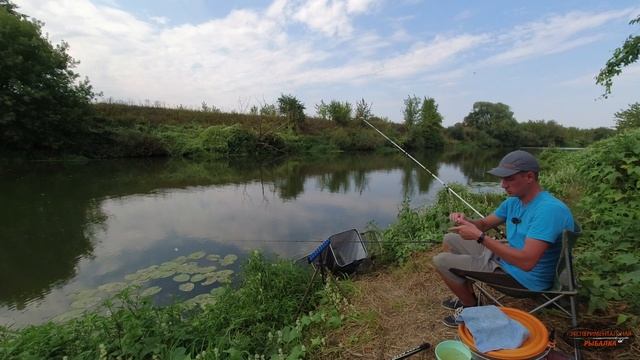 Рыбалка в жару! Ловлю на фидер и донку. смотреть онлайн