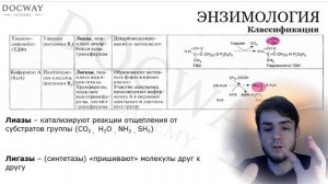 Биохимия | Ферменты часть 1