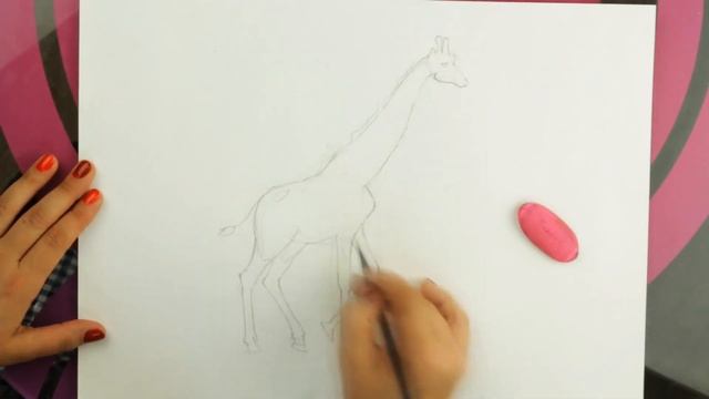 Скетчинг Жираф смотреть онлайн