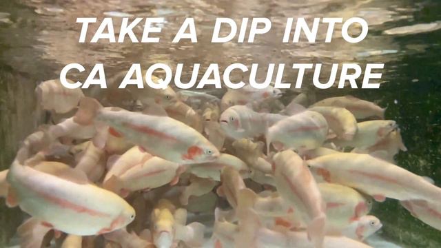 California Aquaculture and Aquaponics, UC Davis Aquaculture смотреть онлайн