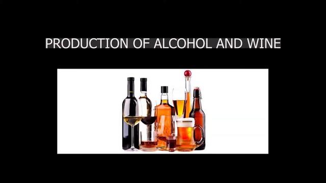 Usage of Microorganisms in Industries смотреть онлайн