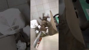 Культиватор CMI