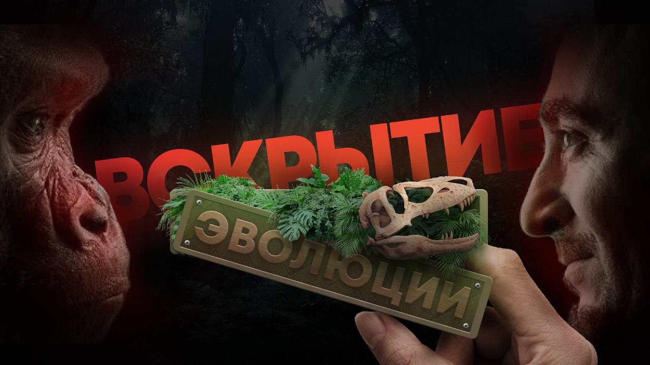 Вскрытие Эволюции (2022)