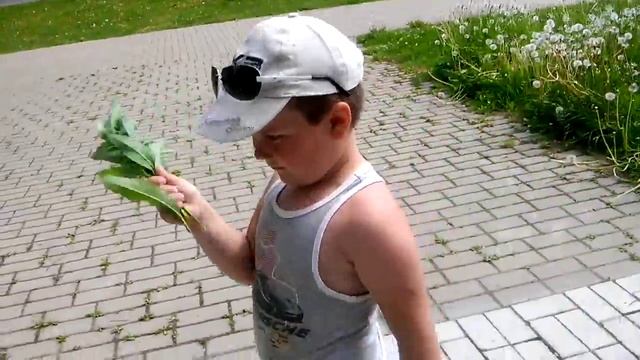 Мошка замучила смотреть онлайн
