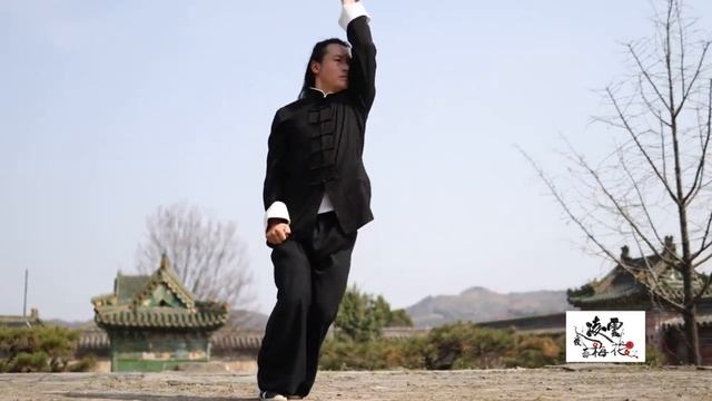 Бацзицюань (八極拳,  Bājíquán)