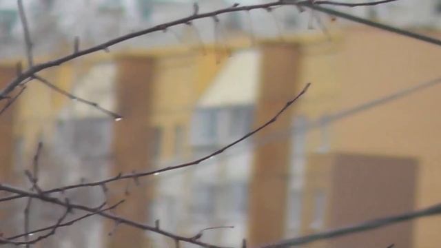 Качество съёмки камеры Panasonic Hc-v500