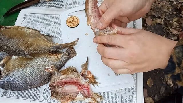 Как почистить рыбу вяленую, сушеную, соленую ? Руками и ножом смотреть онлайн