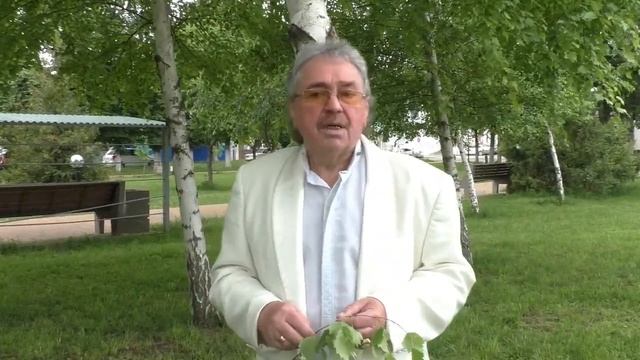 ВИА Орфей Берёзы смотреть онлайн