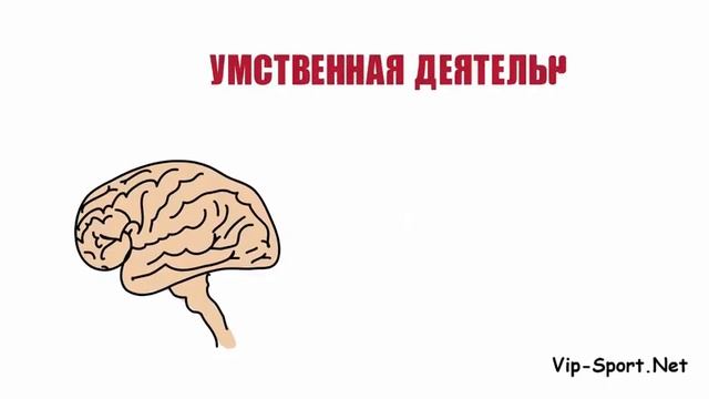 КАК СЖЕЧЬ КАЛОРИИ ЛЕГКО: ПОХУДЕТЬ ЗА 5 МИНУТ ДОМА  ?