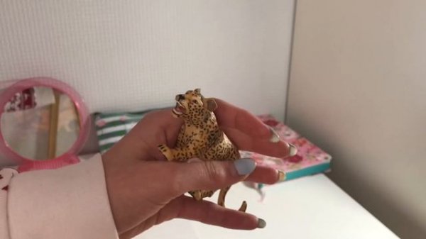 Мой рабочий стол | Мое рабочее место | My desktop ?