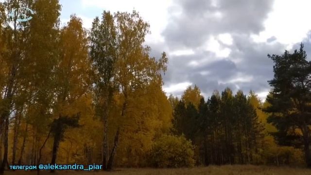 Родная женщина смотреть онлайн