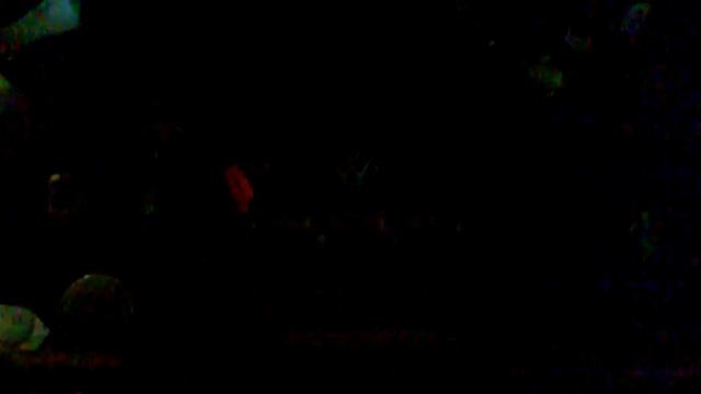 Стук двигателя поло седан при +1,5 градусов тепла