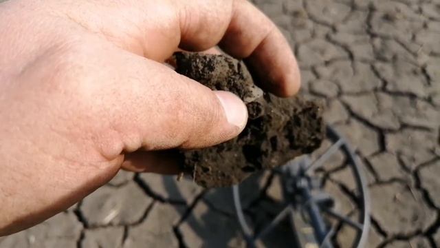 Очередной Сибирский коп. Долгожданные цари. Победа лени, а мог и лучше... ))) смотреть онлайн