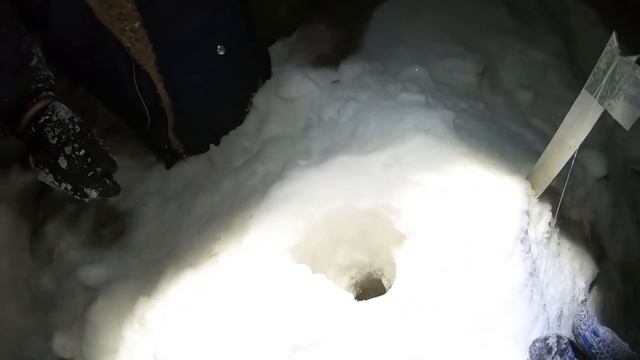 ТРУДОВАЯ РЫБАЛКА В ЛЮБИМОМ РЫБНОМ МЕСТЕ НА ТАЁЖНОЙ РЕКЕ НОЧЬЮ! ЕСЛИ ЗНАЕТ ДВА РЫБАКА ТО ЛОВЯТ ВСЕ! смотреть онлайн