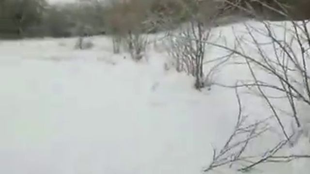 2# Установка петли на зайца смотреть онлайн