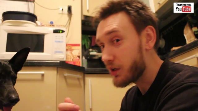 Как научить собаку. Кличка! смотреть онлайн