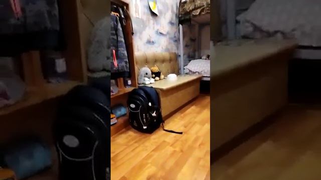 Сын сегодня нашёл на улице котёнка и принёс домой.