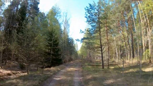 Эндуро покатушки - назад дороги нет.Марейский лес тренировка мотокросс. смотреть онлайн