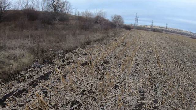 Охота на зайца , проблемы на охоте. Новое. смотреть онлайн