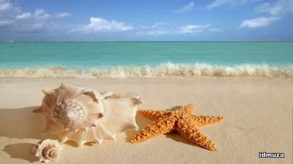 Красивая фортепианная музыка для души|| Юлия Богатырёва "Бурлеск" (Album DREAM)