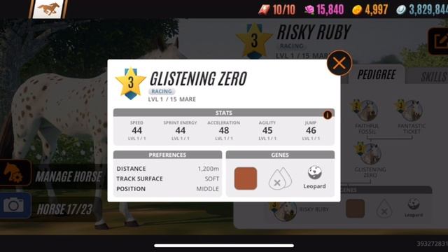 Breeding A Pure Bloodline Of Exotic Leopard??? How To Breed A Pure Bloodline смотреть онлайн