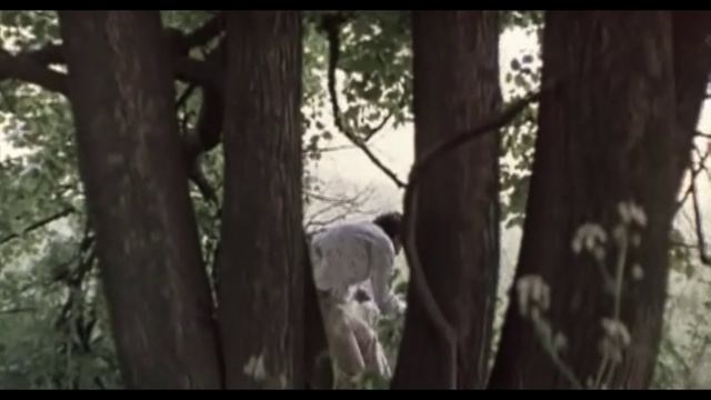 Still The Same Dream - Boris Smolenskij