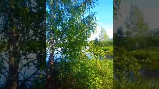 Свято Озеро, Костромская область г. Буй смотреть онлайн