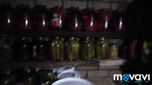 ЗАГОТОВКИ НА ЗИМУ I показываю наш погреб! смотреть онлайн