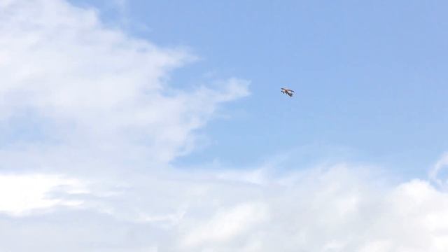 Модель самолета Pitts Python для Алексея / ALNADO смотреть онлайн