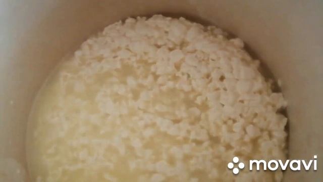 Сыр с голубой плесенью по мотивам "ДОР - БЛЮ" смотреть онлайн