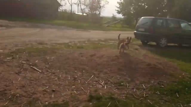 Обзор хозяйства. Разбираем печь день второй смотреть онлайн